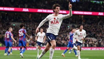Tottenham Vs Crystal Palace: The Lilywhites Gebuk The Eagles 2-0